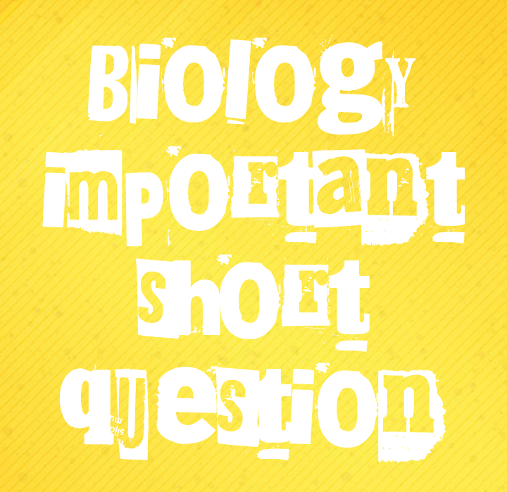 পরিচক্র কি/কী