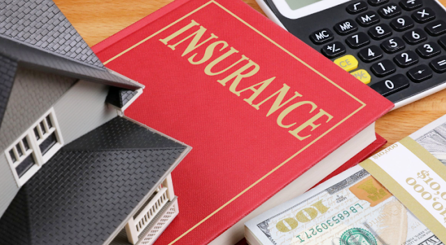 Private venture Protection VS Pay Assurance Protection: Understanding the Distinctions 2026